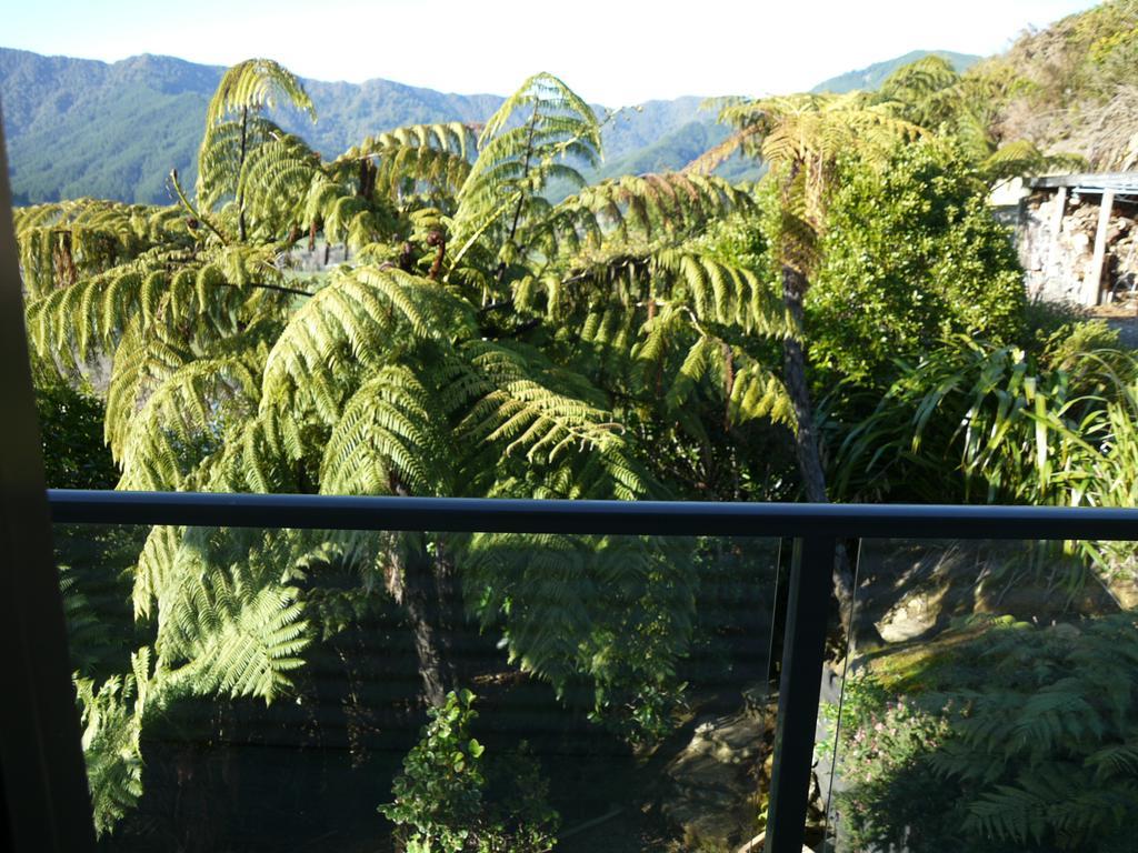Okiwa Bay Lodge Picton Buitenkant foto