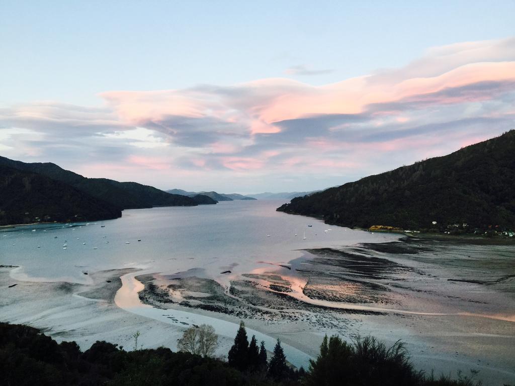 Okiwa Bay Lodge Picton Buitenkant foto