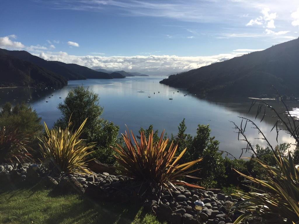 Okiwa Bay Lodge Picton Buitenkant foto